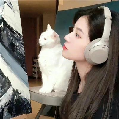 不知所踪 在线观看